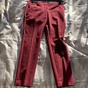 Brand new columnist express pants!